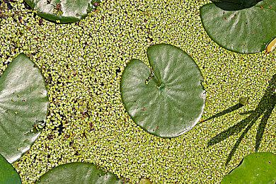 网易《迷室3》《迷室：往逝》发布停服声明 下载充值入口已关闭