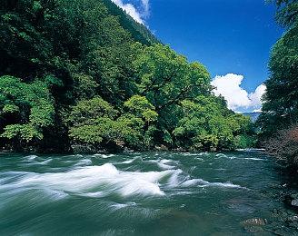 舅舅党推测《GTA6》或将因“社区更新”而正式公布